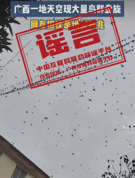 1d016b16e89719bc732ca6de496b26da.png